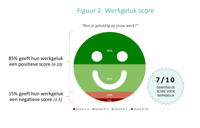 werkgeluk score