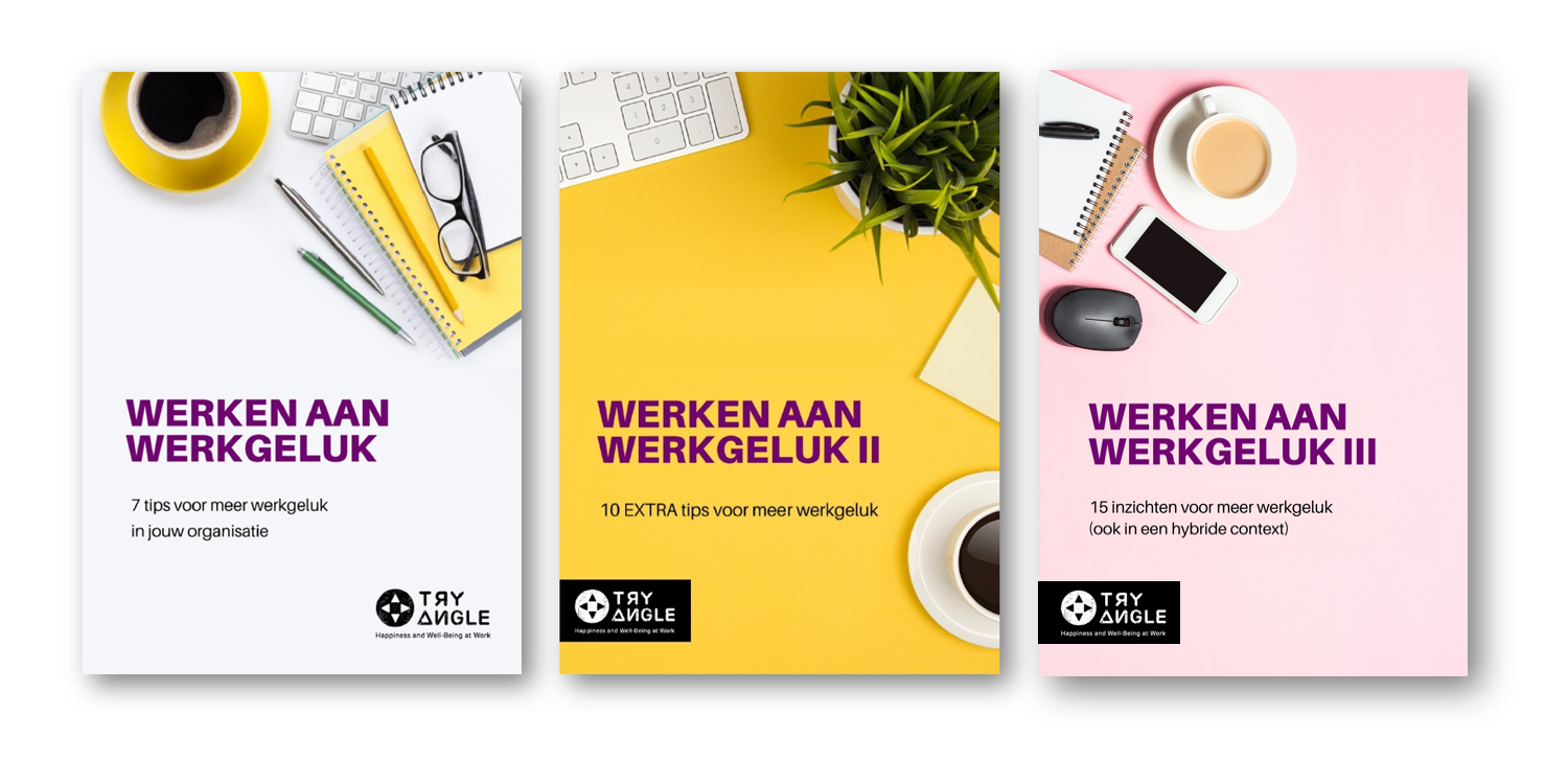 E-book reeks werken aan werkgeluk