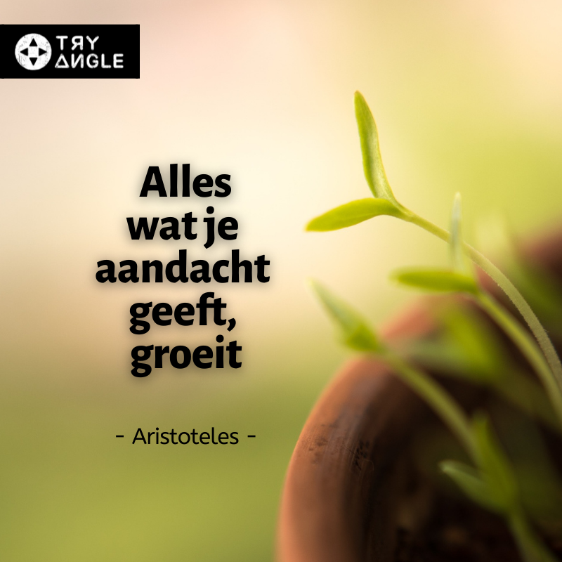 Quote Alles wat je aandacht geeft, groeit