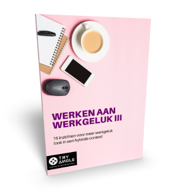 E-book Werken aan Werkgeluk 3