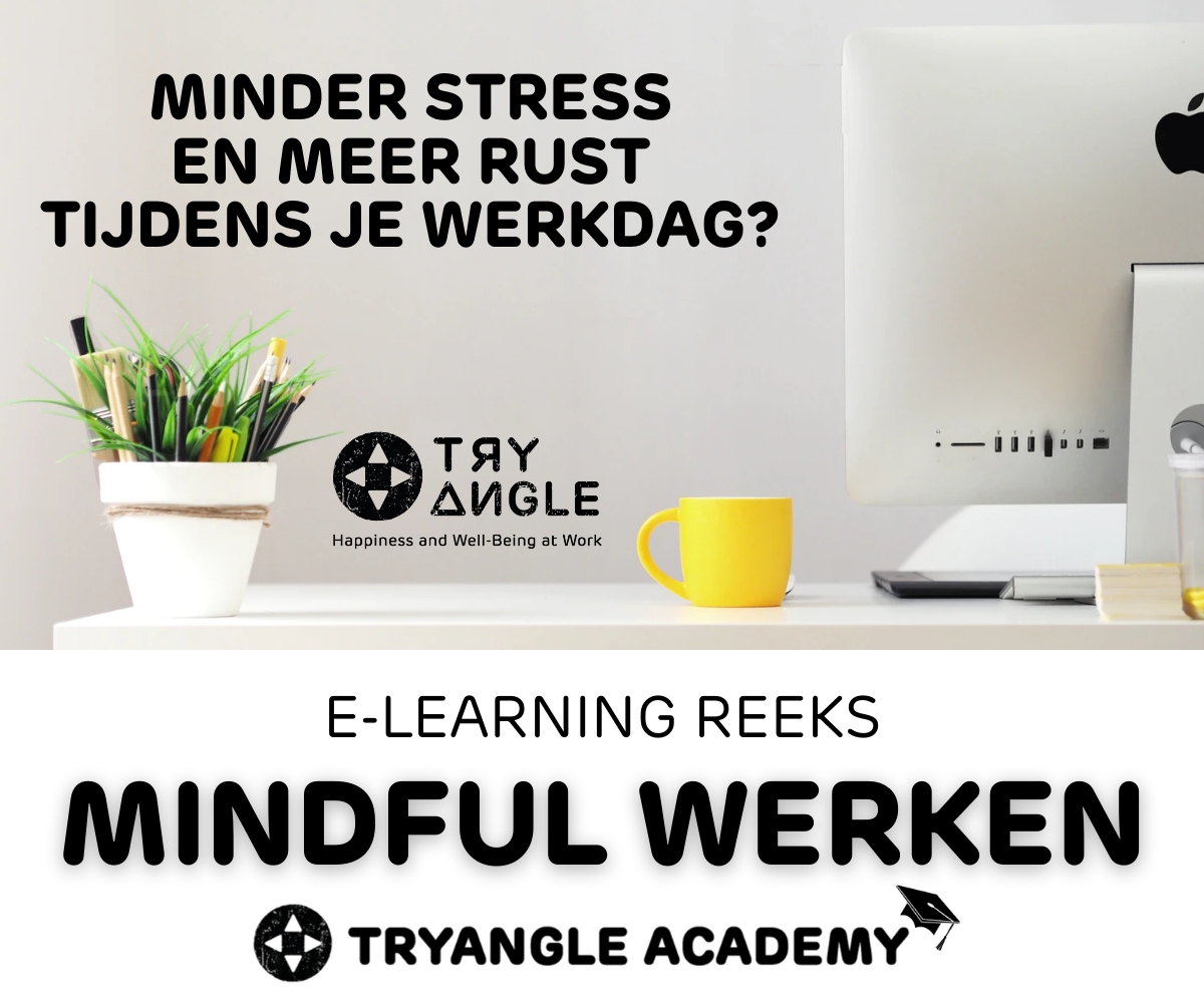 E-learning Mindful Werken