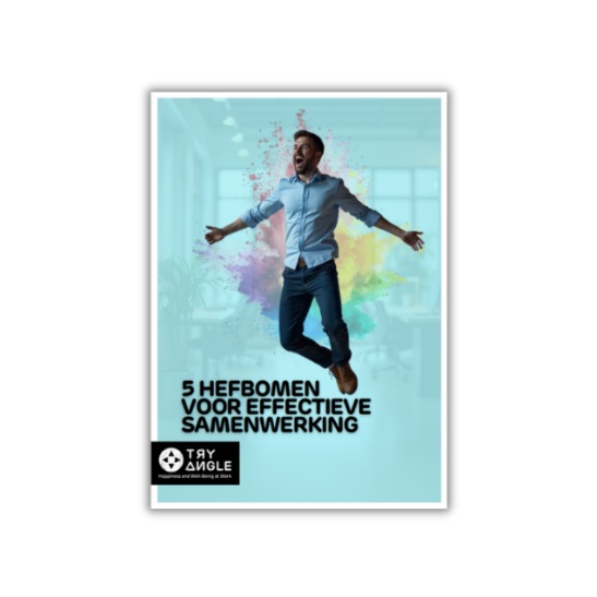 Ebook Hefbomen voor samenwerking